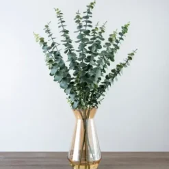 Arrangements & Greenery-Kirkland's Home Eucalyptus And Amber Glass Vase Arrangement Green