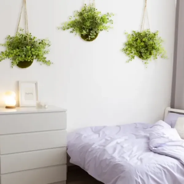 Arrangements & Greenery-Kirkland's Home Eucalyptus And Berry Hanging Baskets, Set Of 3 Green