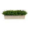 Arrangements & Greenery-Kirkland's Home Eucalyptus Arrangement In Wide Wooden Planter Green/Tan