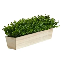 Arrangements & Greenery-Kirkland's Home Eucalyptus Arrangement In Wide Wooden Planter Green/Tan