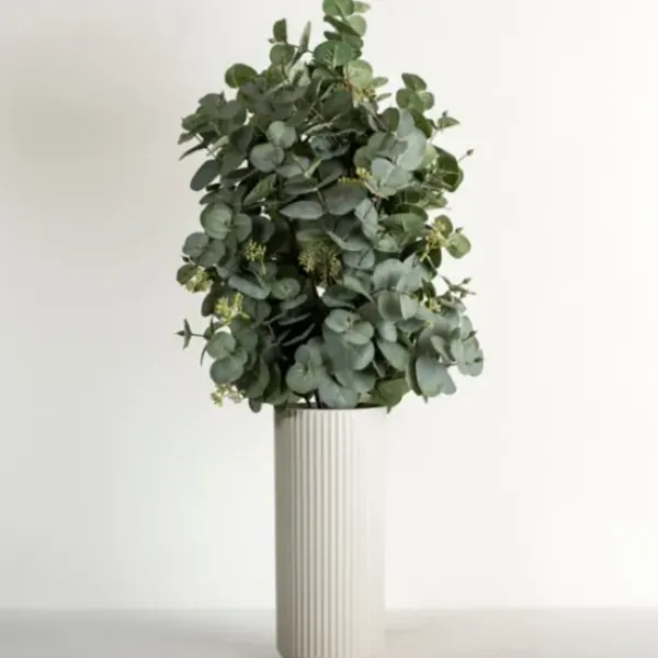 Arrangements & Greenery-Kirkland's Home Eucalyptus Arrangement In White Ribbed Vase Green/White