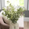 Stems & Bouquets-Kirkland's Home Eucalyptus Bundle, 33 In. Green