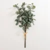 Stems & Bouquets-Kirkland's Home Eucalyptus Leaf Bundles, Set Of 3 Green