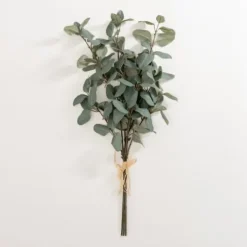 Stems & Bouquets-Kirkland's Home Eucalyptus Leaf Bundles, Set Of 3 Green