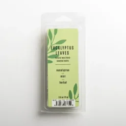 Home Fragrance-Kirkland's Home Eucalyptus Leaves Wax Melts