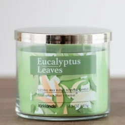 Candles-Kirkland's Home Eucalyptus Leaves 3-Wick Jar Candle Green