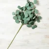 Stems & Bouquets-Kirkland's Home Eucalyptus Mix Stem Green