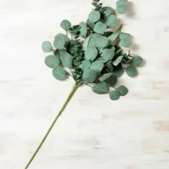 Stems & Bouquets-Kirkland's Home Eucalyptus Mix Stem Green