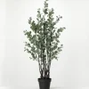 Trees & Topiaries-Kirkland's Home Eucalyptus Tree In Black Planter