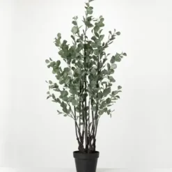 Trees & Topiaries-Kirkland's Home Eucalyptus Tree In Black Planter