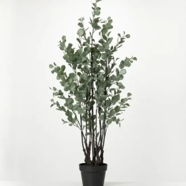 Trees & Topiaries-Kirkland's Home Eucalyptus Tree In Black Planter