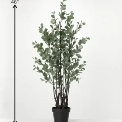 Trees & Topiaries-Kirkland's Home Eucalyptus Tree In Black Planter