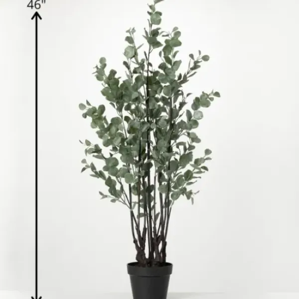 Trees & Topiaries-Kirkland's Home Eucalyptus Tree In Black Planter