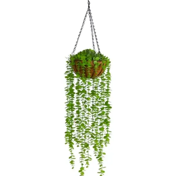 Arrangements & Greenery-Kirkland's Home Eucalyptus Vines Hanging Basket Green