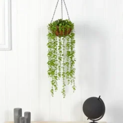 Arrangements & Greenery-Kirkland's Home Eucalyptus Vines Hanging Basket Green