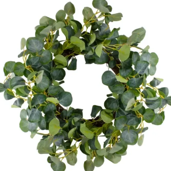 Wreaths-Kirkland's Home Eucalyptus Vines Wreath Green