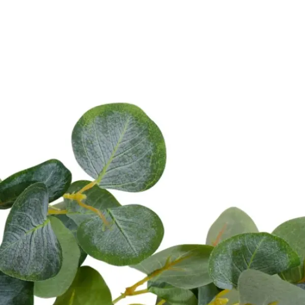 Wreaths-Kirkland's Home Eucalyptus Vines Wreath Green