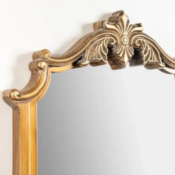 Full Length & Floor Mirrors-Kirkland's Home Evelyn Antique Gold Leaner Mirror