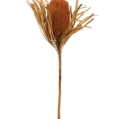 Stems & Bouquets-Kirkland's Home Fall Dried And Dyed Jumbo Banksia Stems, Set Of 3 Orange