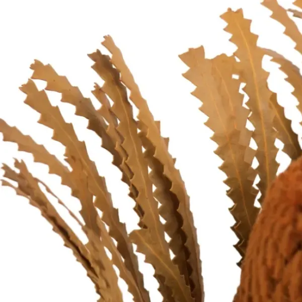 Stems & Bouquets-Kirkland's Home Fall Dried And Dyed Jumbo Banksia Stems, Set Of 3 Orange