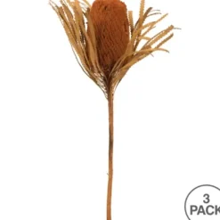 Stems & Bouquets-Kirkland's Home Fall Dried And Dyed Jumbo Banksia Stems, Set Of 3 Orange