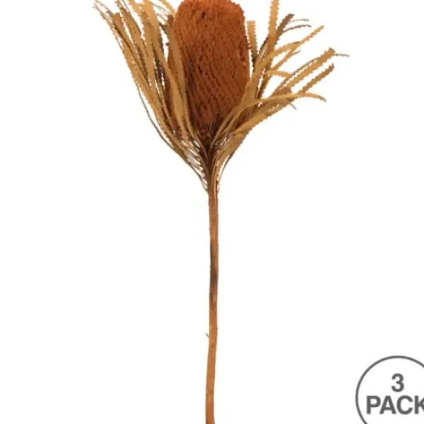 Stems & Bouquets-Kirkland's Home Fall Dried And Dyed Jumbo Banksia Stems, Set Of 3 Orange