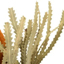 Stems & Bouquets-Kirkland's Home Fall Dried Jumbo Banksia Stems, Set Of 3 Orange