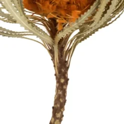 Stems & Bouquets-Kirkland's Home Fall Dried Jumbo Banksia Stems, Set Of 3 Orange