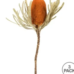 Stems & Bouquets-Kirkland's Home Fall Dried Jumbo Banksia Stems, Set Of 3 Orange