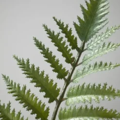 Trees & Topiaries-Kirkland's Home Feathered Fern In Black Nursery Planter Green/Black