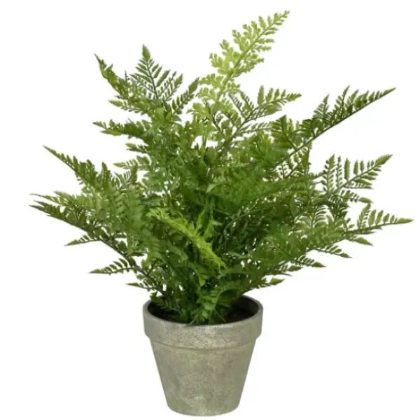 Arrangements & Greenery-Kirkland's Home Fern Arrangement In Paper Pot Green