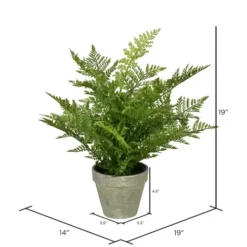 Arrangements & Greenery-Kirkland's Home Fern Arrangement In Paper Pot Green