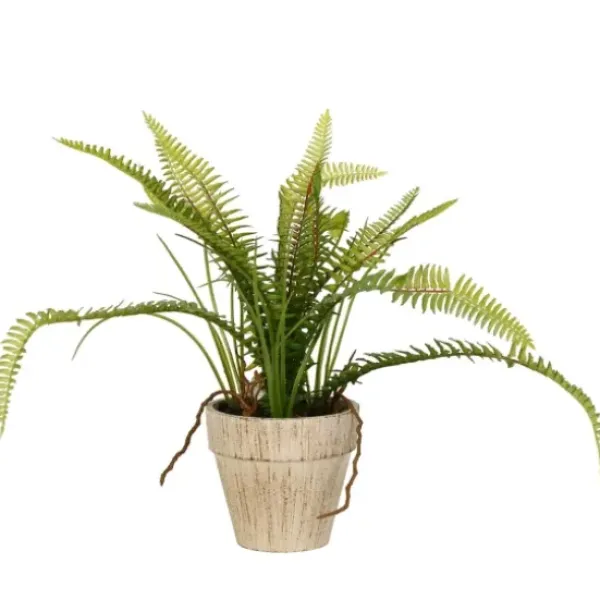 Arrangements & Greenery-Kirkland's Home Fern Bush In Distressed Ivory Planter Green