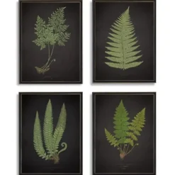 Framed Art-Kirkland's Home Fern Framed Art Prints, Set Of 4 Black/Green