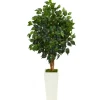 Trees & Topiaries-Kirkland's Home Ficus Tree In Mossy Tower Planter