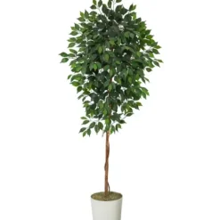 Trees & Topiaries-Kirkland's Home Ficus Tree With Moss In White Tin Planter