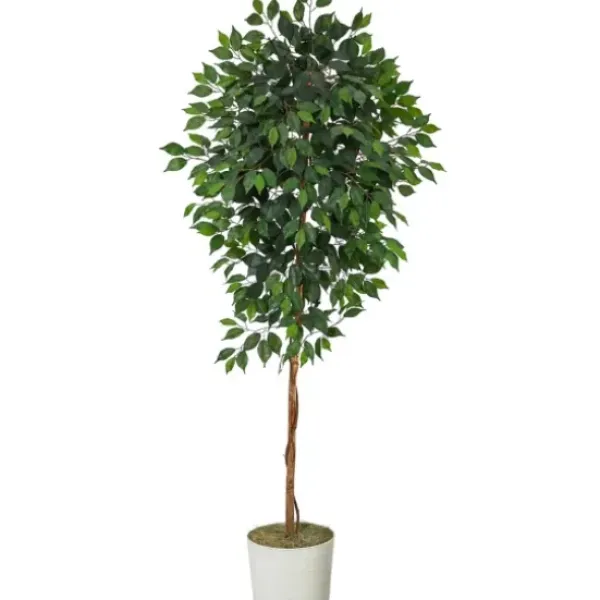 Trees & Topiaries-Kirkland's Home Ficus Tree With Moss In White Tin Planter