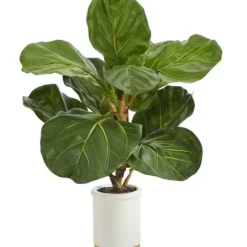 Trees & Topiaries-Kirkland's Home Fiddle Leaf Fig In White Ceramic Planter, 21 In.