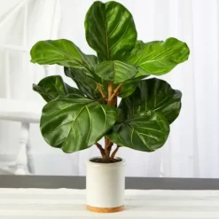 Trees & Topiaries-Kirkland's Home Fiddle Leaf Fig In White Ceramic Planter, 21 In.