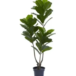 Trees & Topiaries-Kirkland's Home Fiddle Uv Resistant Tree
