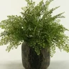 Arrangements & Greenery-Kirkland's Home Flat Iron Fern Arrangement In Antiqued Planter Green