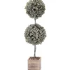 Trees & Topiaries-Kirkland's Home Flocked Double Ball Boxwood Bush In Wood Box Green/Brown
