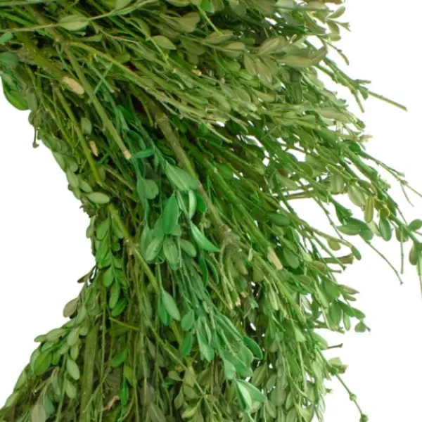 Wreaths-Kirkland's Home Foliage Spring Wreath Green