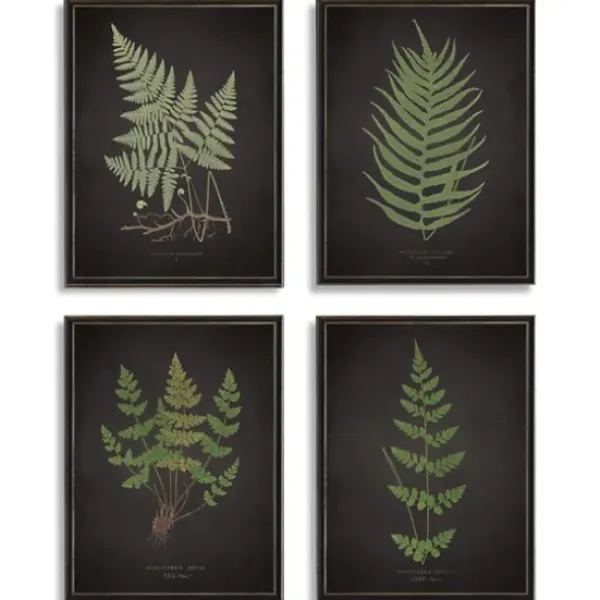 Framed Art-Kirkland's Home Four Ferns Framed Art Prints, Set Of 4 Black/Green