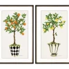 Framed Art-Kirkland's Home Fruit Topiary Giclee Black Framed Prints, Set Of 2 Ivory/Green/Multi