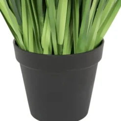 Trees & Topiaries-Kirkland's Home Full Green Grass Potted Plant