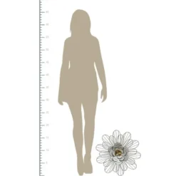 Wall Plaques-Kirkland's Home Galvanized Daisy Plaque Silver/Blue