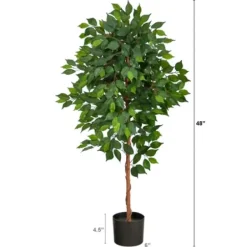 Trees & Topiaries-Kirkland's Home Glossy Leaf Ficus Tree In Black Nursery Planter