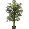 Trees & Topiaries-Kirkland's Home Golden Cane Palm Tree, 5 Ft.