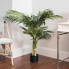 Trees & Topiaries-Kirkland's Home Golden Cane Palm Tree, 4 Ft.